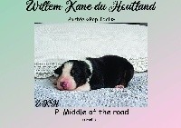 P'  Middle of the Road